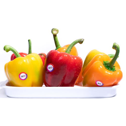 Colorful Bell Peppers